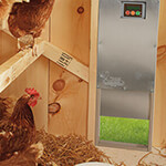 Basic Model Auto Door