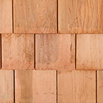 Cedar
