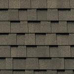 Fossilwood (Shingle)