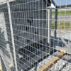 6x8 Chicken Run